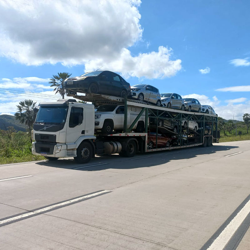 transporte de veículos em caminhão cegonha